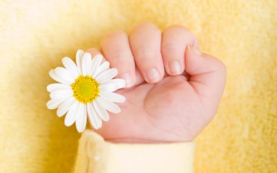 10 Tipps für bessere Babyfotos