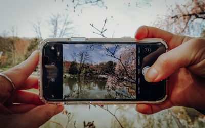 Smartphone Fotografie Tipps für bessere Handybilder