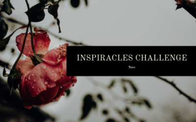 Inspiracles Challenge – November 2019 – Nassgemacht!