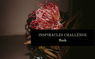 Inspiracles Challenge – Februar 2020 – Flash!