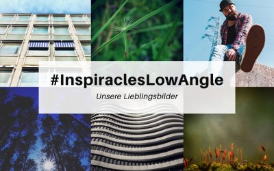 Unsere Lieblingsbilder der Mai-Challenge “Froschperspektive” – #InspiraclesLowAngle