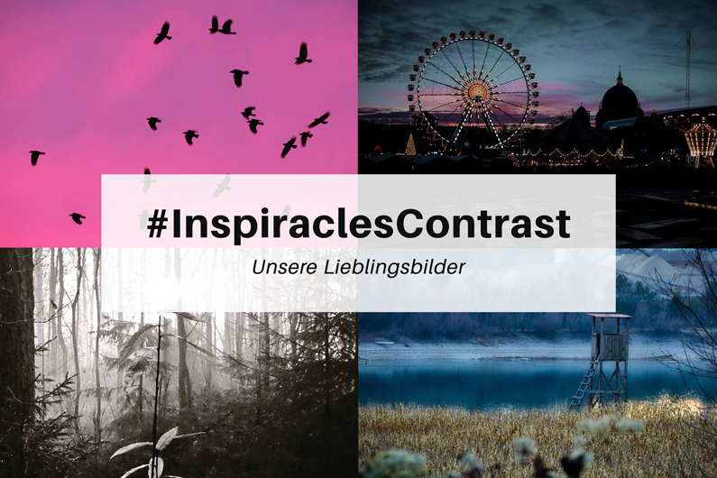 Unsere Lieblingsbilder der Dezember-Challenge “Contrast” – #InspiraclesContrast