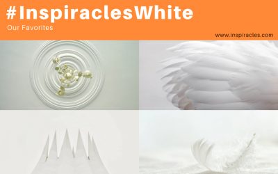 Our favorite pictures of the April challenge “White” – #InspiraclesWhite