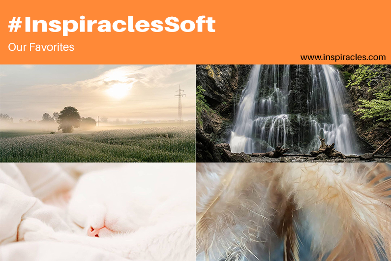 Our favorite pictures of the July challenge “Soft” – #InspiraclesSoft