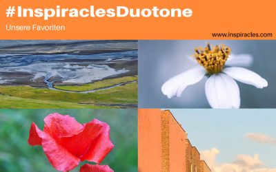 Unsere Lieblingsbilder der August-Challenge “Duotone” – #InspiraclesDuotone