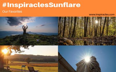 Our favorite pictures of the September challenge “Sunflare” – #InspiraclesSunflare