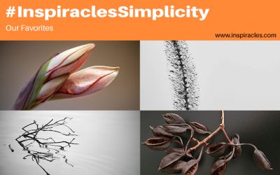 Our favorite pictures of the December challenge “Simplicity” – #InspiraclesSimplicity