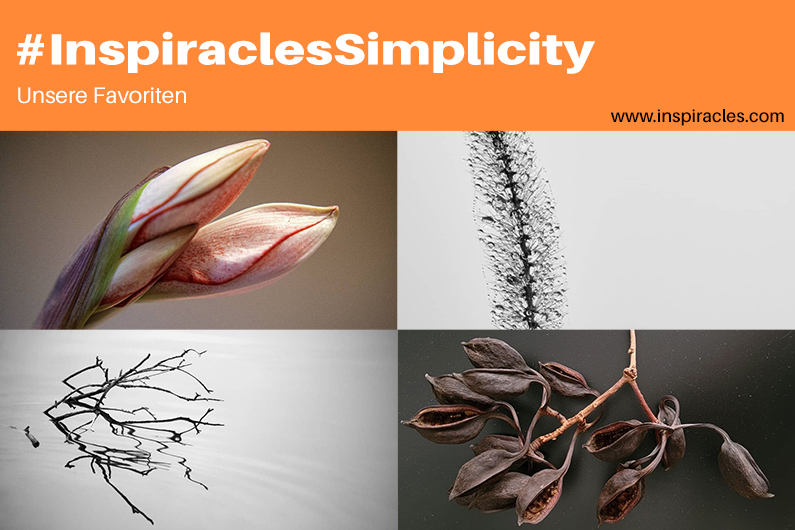 Unsere Lieblingsbilder der Dezember-Challenge “Simplicity” – #InspiraclesSimplicity