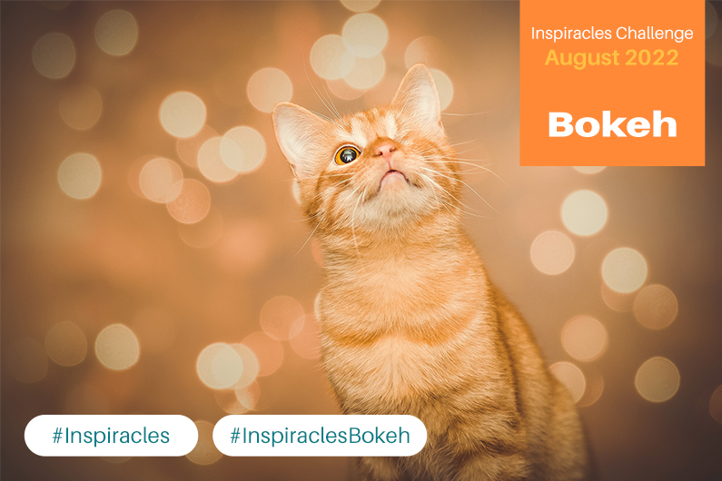 Inspiracles Challenge – August 2022 – Bokeh