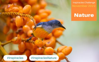 Inspiracles Challenge – November 2022 – Nature